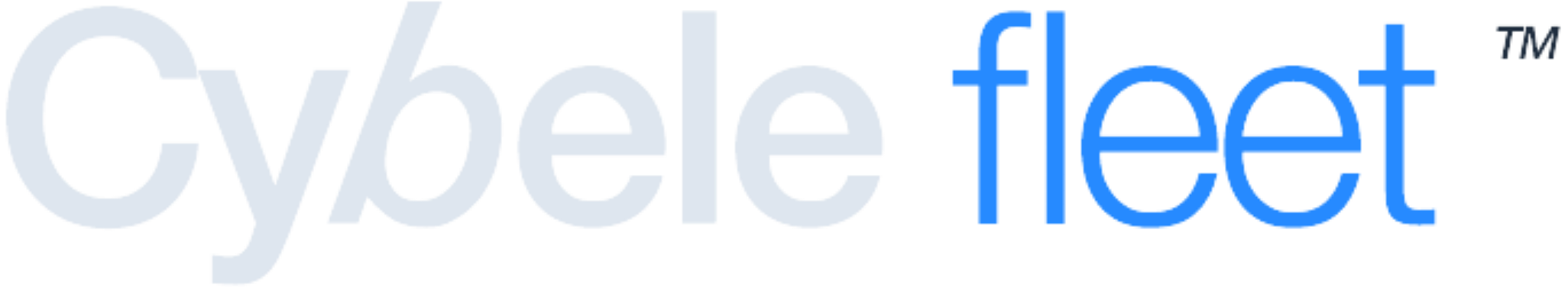 Cybele Fleet